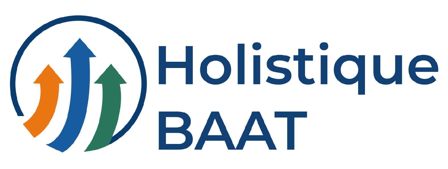 Holistique